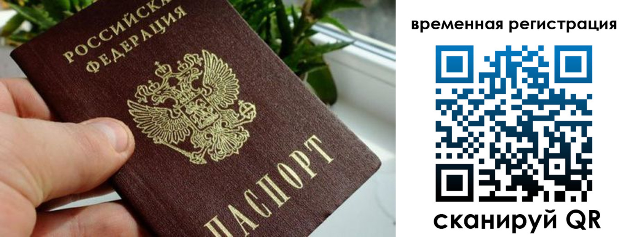 прописка поиск в Солнечногорске